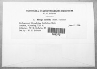 Image Associated With the Occurence